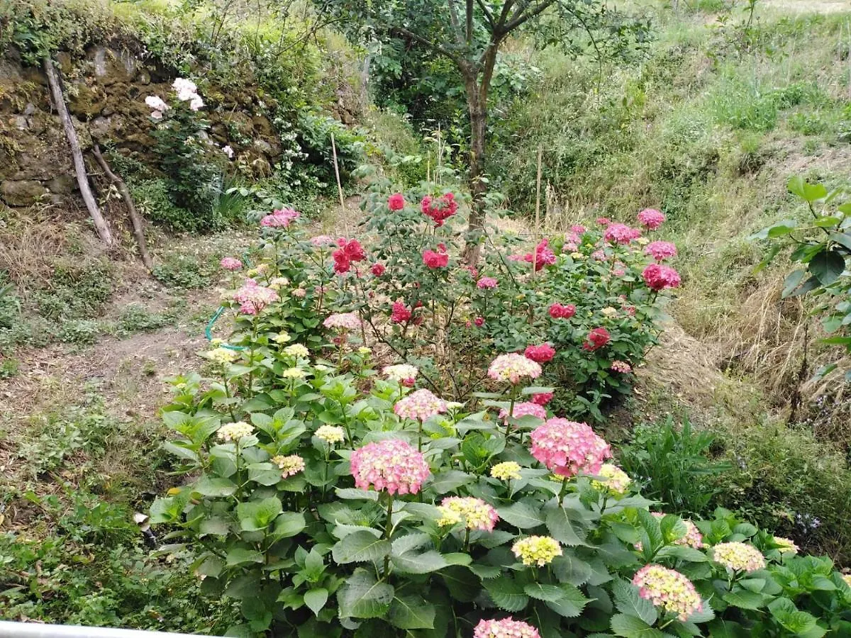 Bed and Breakfast Il Ghiro Levanto Italia